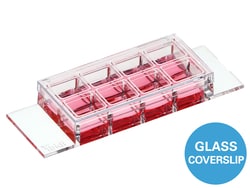 Ibidi -Slide 8 Well High Glass Bottom, Bulk Pack &mu;-Slide | Buy Online | Ibidi | Fisher Scientific