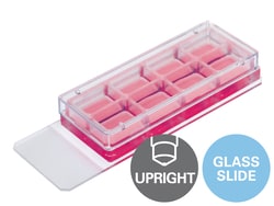 Ibidi 8 Well Chamber, Removable Well Chamber | Buy Online | Ibidi | Fisher Scientific