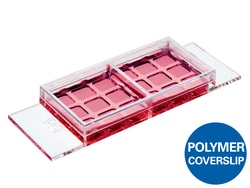 Ibidi -Slide 2 Well Co-Culture ibiTreat &mu;-Slide | Buy Online | Ibidi | Fisher Scientific