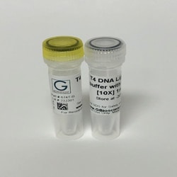G-Biosciences&nbsp;T4 DNA Ligase