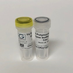 G-Biosciences&nbsp;T4 Polynucleotide Kinase (PNK)