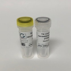 G-Biosciences&nbsp;T4 UvsX DNA Recombinase