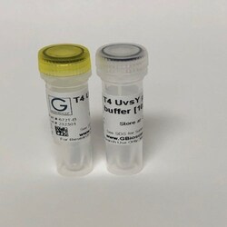G-Biosciences T4 UvsY Protein