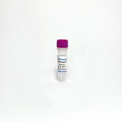 TRIBIOSCIENCE INC Recombinant human Tryptase alpha/beta-1 protein, 10UG