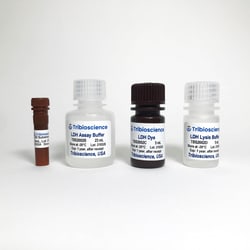 TRIBIOSCIENCE INC Lactate Dehydrogenase (LDH) Cytotoxicity Assay Kit, 500