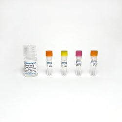 TRIBIOSCIENCE INC Mitochondrial Complex I Activity Colorimetric Assay,