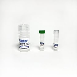 TRIBIOSCIENCE INC&nbsp;Tyrosine Colorimetric Assay, 100 Tests