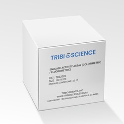TRIBIOSCIENCE INC Enolase Activity Assay (Colorimetric / Fluorometric),