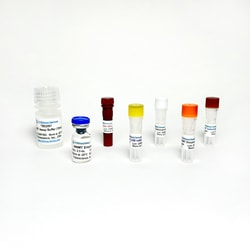 TRIBIOSCIENCE INC Nicotinamide N-methyltransferase (NNMT) Inhibitor Screening