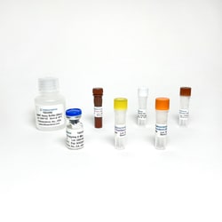 TRIBIOSCIENCE INC Nicotinamide N-methyltransferase (NNMT) Activity Fluorometric