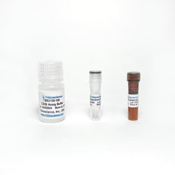 TRIBIOSCIENCE INC&nbsp;Cluster of Differentiation 38 (CD38 Cyclase) Activity Assay Kit (Fluorometric), 100 Tests