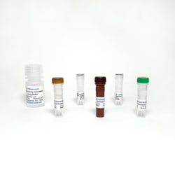 TRIBIOSCIENCE INC Glucose-6-Phosphate Dehydrogenase Activity Colorimetric Assay Kit, 100 Tests