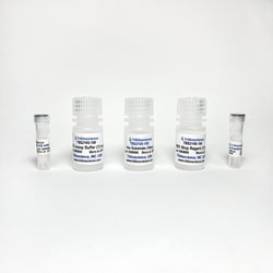TRIBIOSCIENCE INC&nbsp;Beta-N-Acetylglucosaminidase (Beta-NAG) Activity Colorimetric Assay, 200 Assays