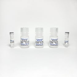 TRIBIOSCIENCE INC Beta-N-Acetylglucosaminidase (Beta-NAG) Activity Colorimetric