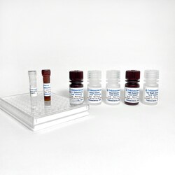 TRIBIOSCIENCE INC Human UCHL1/PGP9.5 ELISA Kit, 1 x 96-well plate, Quantity: