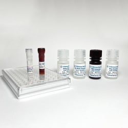 TRIBIOSCIENCE INC Human IFN-Gamma ELISA Kit, 1 x 96-well plate, Quantity: