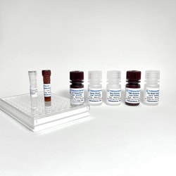 TRIBIOSCIENCE INC Human IL-18 ELISA, 1 x 96-well plate, Quantity: Each