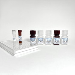 TRIBIOSCIENCE INC Human Gamma-H2AX/rH2AX Fast ELISA, Quantity: Each of
