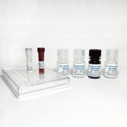 TRIBIOSCIENCE INC Human Total-H2AX Fast ELISA, Quantity: Each of 1