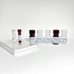 TRIBIOSCIENCE INC Human Phospho Tau Thr231 (p-T231) ELISA Kit, 1 x 96-well
