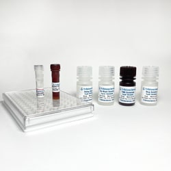 TRIBIOSCIENCE INC Human Amyloid Beta 40 / Aβ40 ELISA Kit, 1 x 96-well plate,