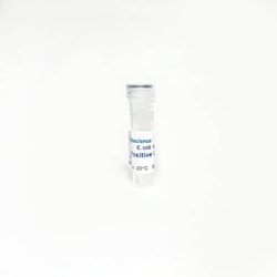 TRIBIOSCIENCE INC Escherichia coli (E. Coli) – Salmonella qPCR - PositiveControl, 60 ul