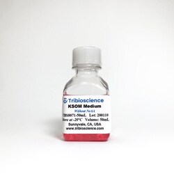 TRIBIOSCIENCE INC KSOM Mouse Embryo Medium With AA, 50 ML, Quantity: Each
