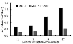 Raybiotech Inc Human ER-alpha Transcription Factor Activity Assay., Quantity: