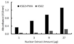 Raybiotech Inc Human Fra1 Transcription Factor Activity Assay., Quantity: