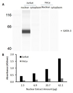 Raybiotech Inc Human GATA-3 Transcription Factor Activity Assay., Quantity: