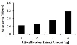 Raybiotech Inc Human NANOG Transcription Factor Activity Assay., Quantity: