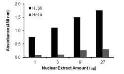 Raybiotech Inc Human NF-κB RelB Transcription Factor Activity Assay., Quantity: