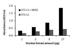 Raybiotech Inc Mouse Nrf2 Transcription Factor Activity Assay., Quantity: