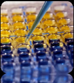 Scytek Laboratories TMB Soluble Reagent (Standard Sensitivity), Quantity: