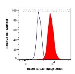 TNIK Mouse, anti-Human, CoraLite 594, Clone: 1E9H3, Proteintech:Antibodies:Primary