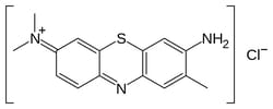 Electron Microscopy Sciences Toluidine Blue O 1% Aqueous Solution 500 ML,