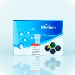 Biotium TrueBlack Lipofuscin Autofluorescence Quencher, 20X in DMF, Quantity: