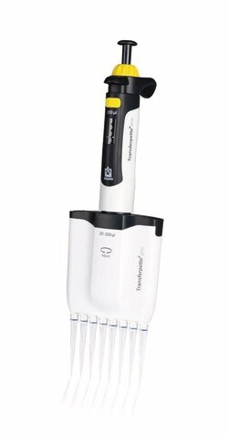 BRAND Multi-Channel Micropipette - 8 Transferpette pro, Adjustable 200 &mu;L | Buy Online | BRAND&trade; | Fisher Scientific