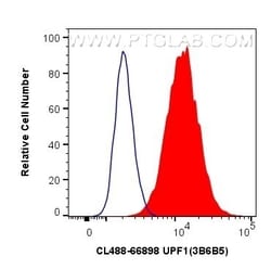 UPF1 Mouse, anti-Human, CoraLite Plus 488, Clone: 3B6B5, Proteintech:Antibodies:Primary