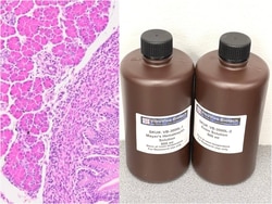 VITRO VIVO BIOTECH LLC&nbsp;Hematoxylin and Eosin Stain Kit (500mL)