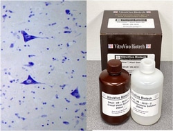 VITRO VIVO BIOTECH LLC&nbsp;VitroView&trade; Nissl Stain Kit
