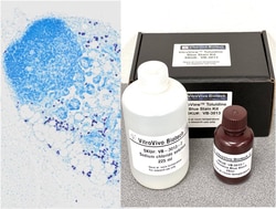 VITRO VIVO BIOTECH LLC VitroView Toluidine Blue Stain Kit, Quantity: Each