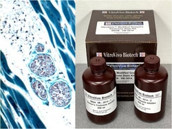 VITRO VIVO BIOTECH LLC&nbsp;VitroView&trade; Modified Gomori’s Trichrome Stain Kit
