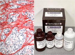 VITRO VIVO BIOTECH LLC VitroView Picro-Sirius Red Stain Kit, Quantity: