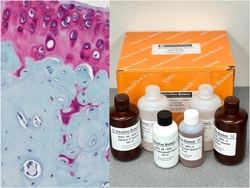VITRO VIVO BIOTECH LLC VitroView Safranin O Stain Kit for Cartilage, Quantity: