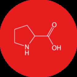 AJINOMOTO USA INC L-Proline Poly Drum 1Kg, Quantity: Each of 1