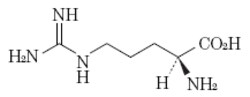 AJINOMOTO USA INC L-Arginine (L-Arg) 1Kg, Quantity: Each of 1