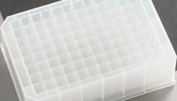 BioSpec Products 2 ml Deep well Microplate, 50 plates per case