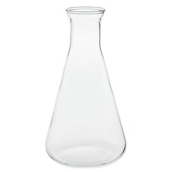 Chemglass Life Sciences 2000mL Glassblowers Erlenmeyer Blank