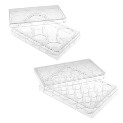 Chemglass Life Sciences 12-Well Cell Culture Plate, Non-Treated, Sterile,